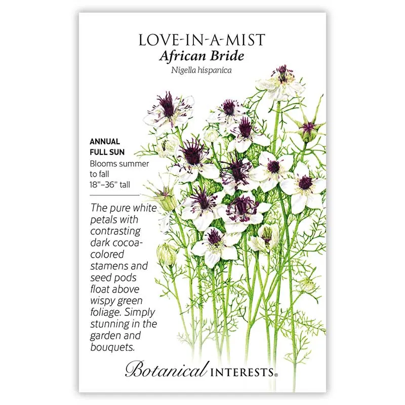 African Bride Love-In-A-Mist Seeds