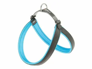 AGILA FLUO 4 BLUE HARNESS