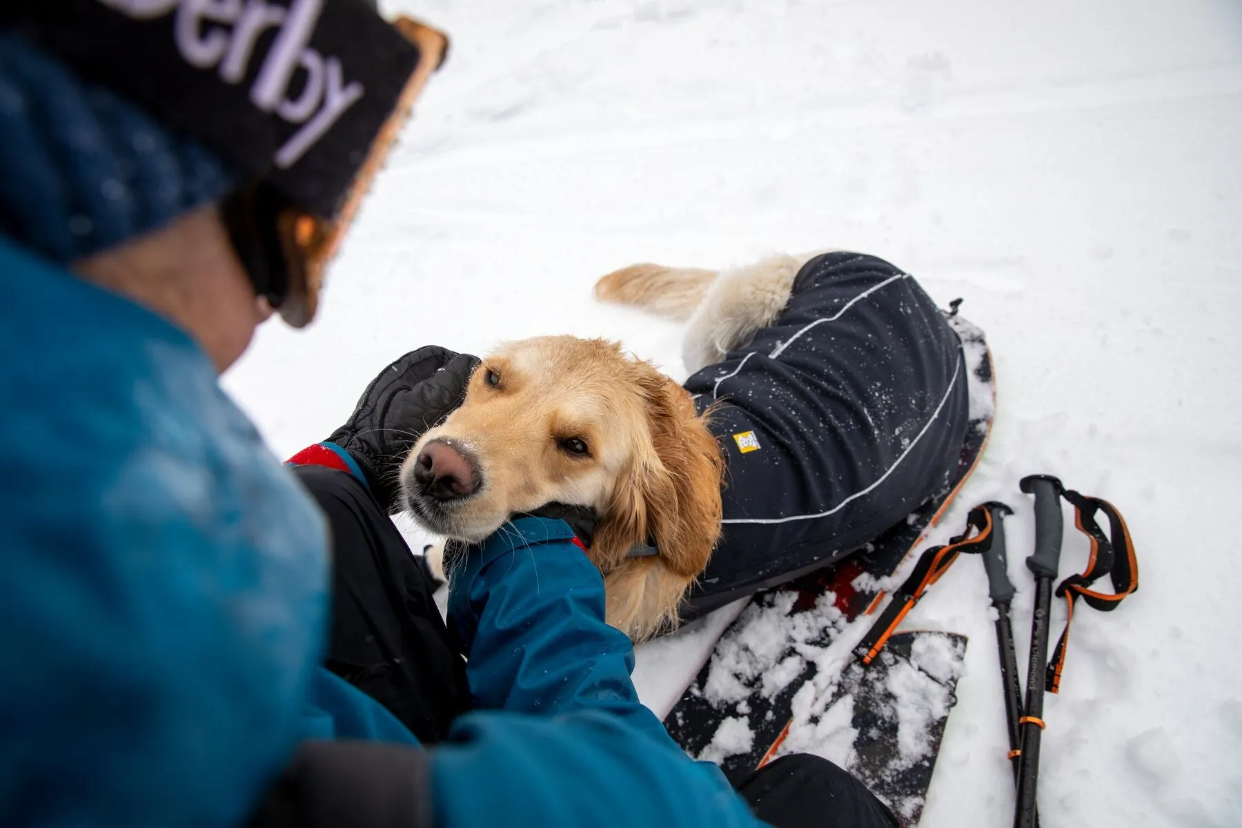 Cloud Chaser Waterproof Dog Coat