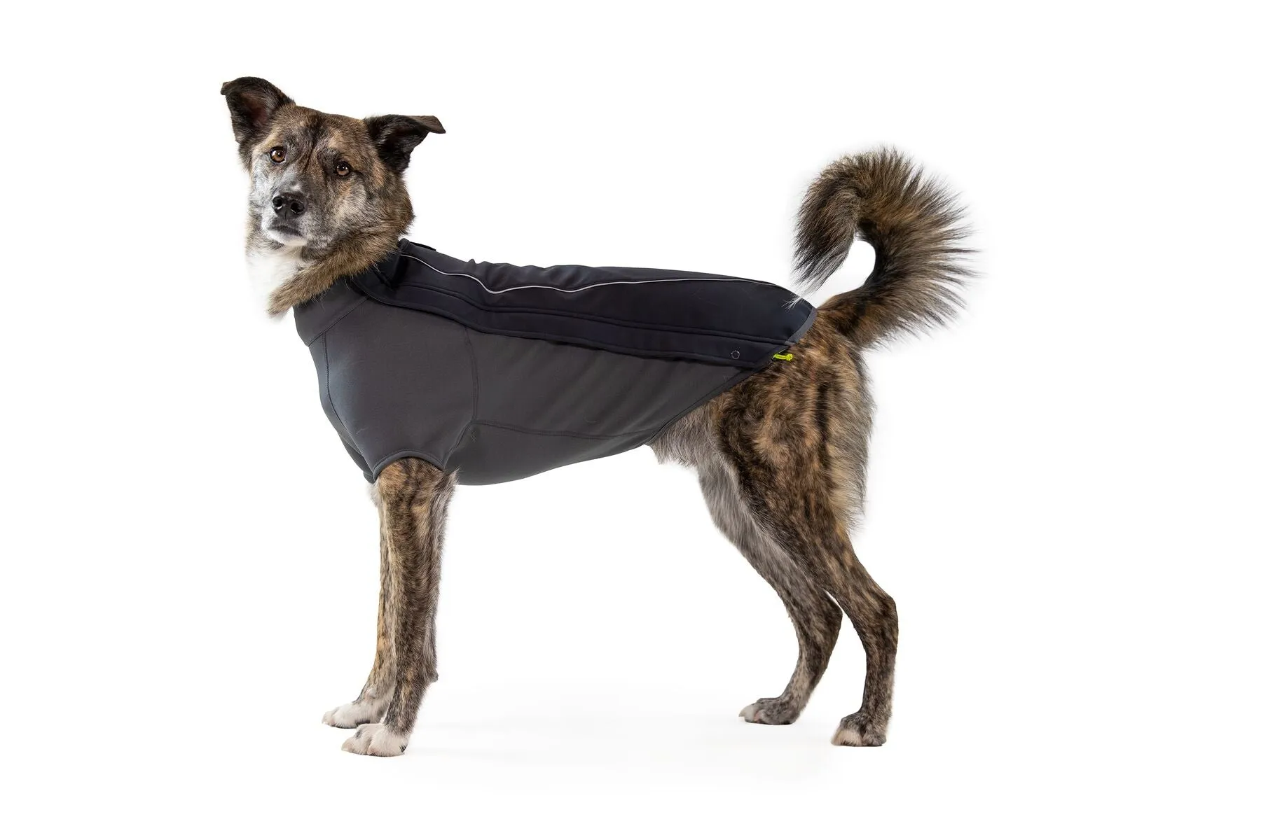 Cloud Chaser Waterproof Dog Coat