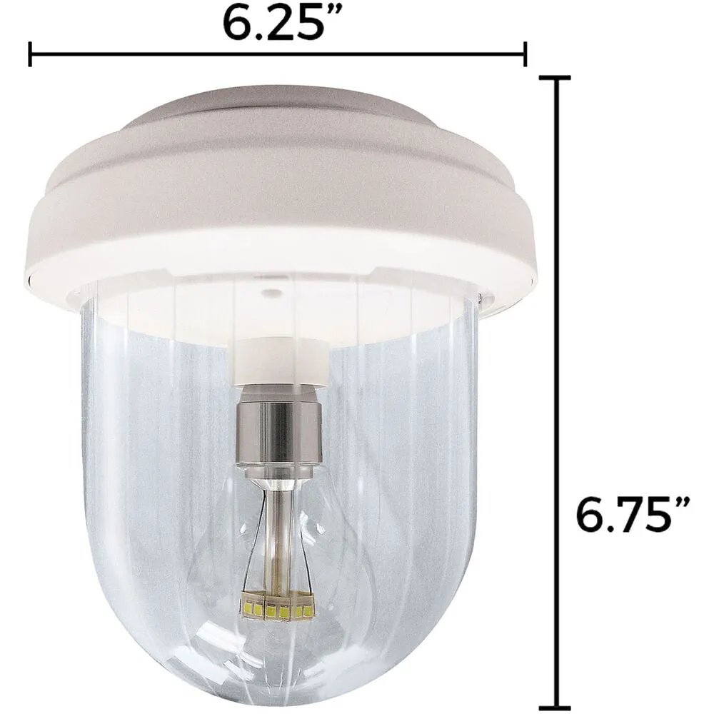 Gama Sonic | Solar-Powered Light My Shed IV LED 7 inch Greenhouse and Shed Light