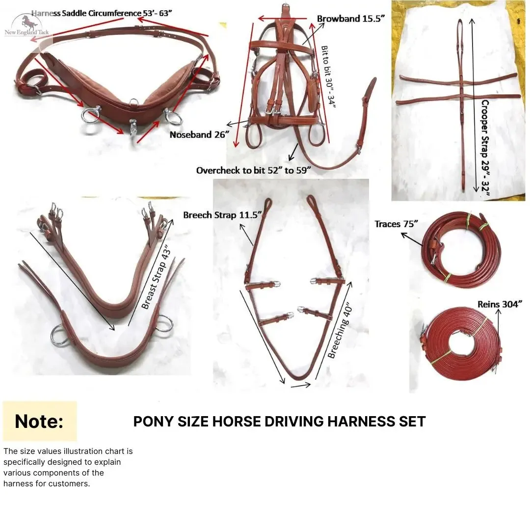 Pony Regular Horse Leather Driving Harness- Complete Set - Leather - Black