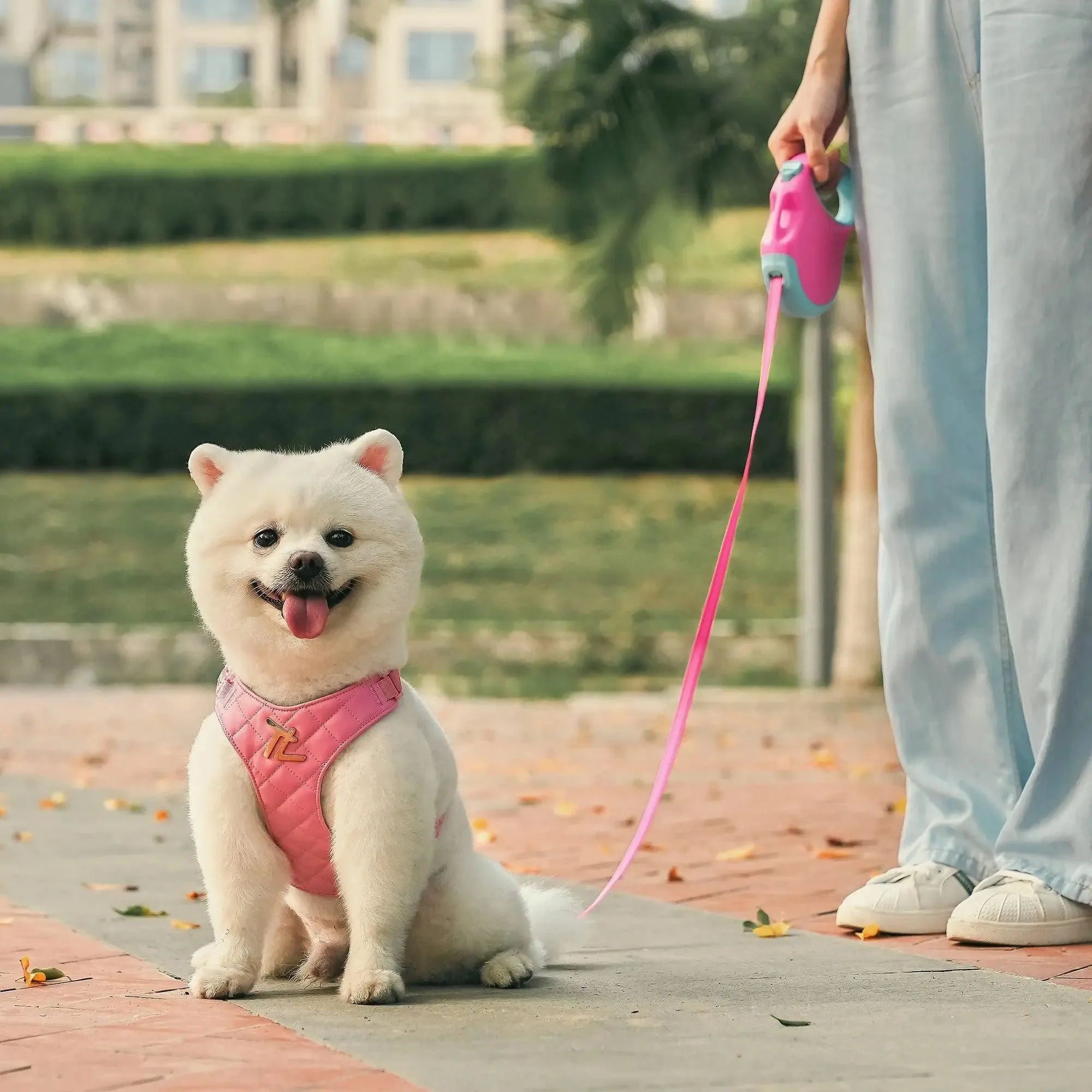 Retractable Dog Leash