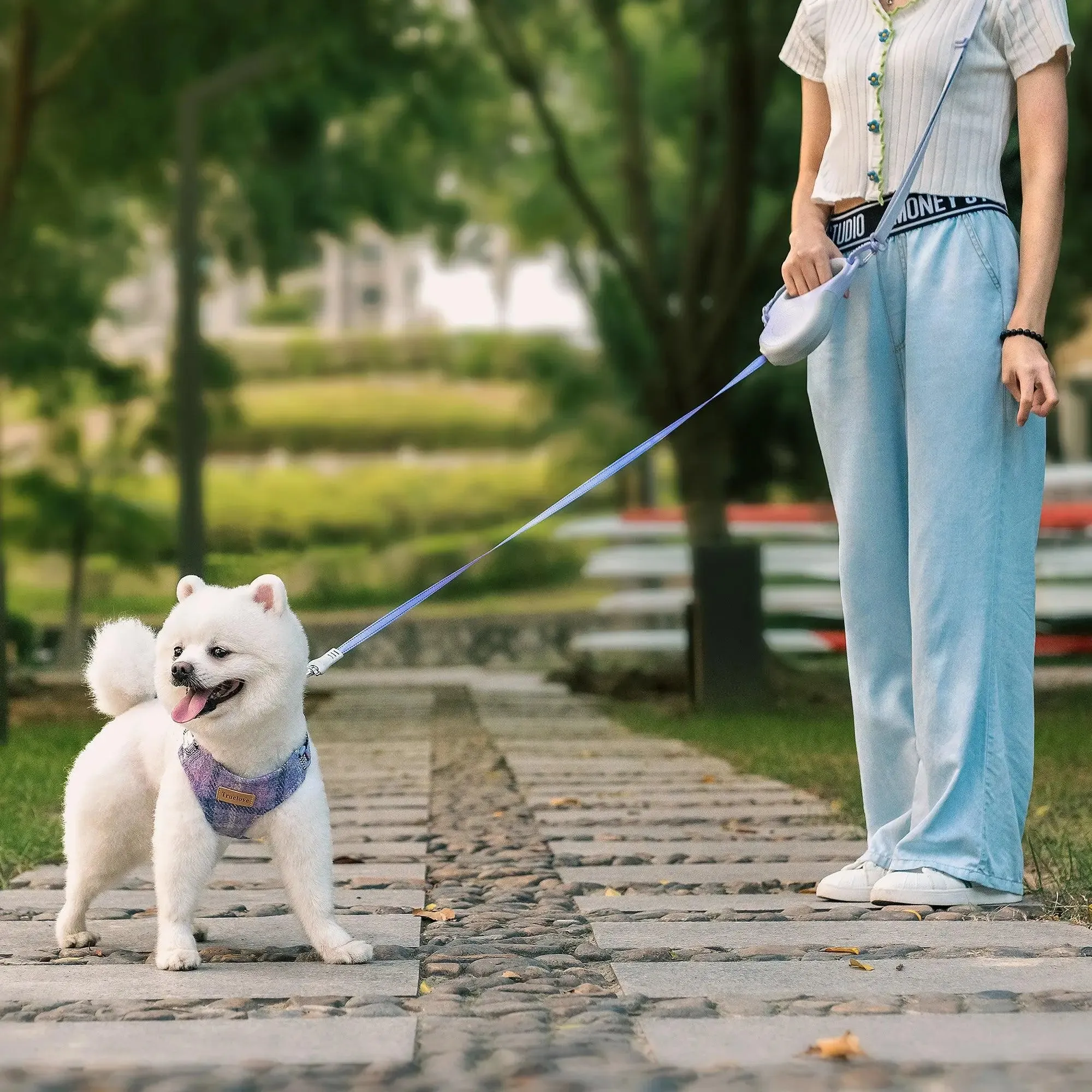 Retractable Dog Leash