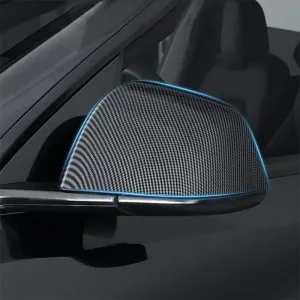 TAPTES Carbon Fiber Side Mirror Decorate Covers for Model Y 2020-2023 2024